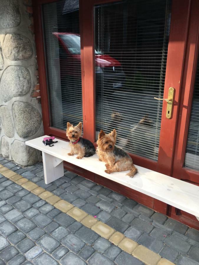 Apartamenty I Pokoje U Staszelow Poronin Eksteriør billede